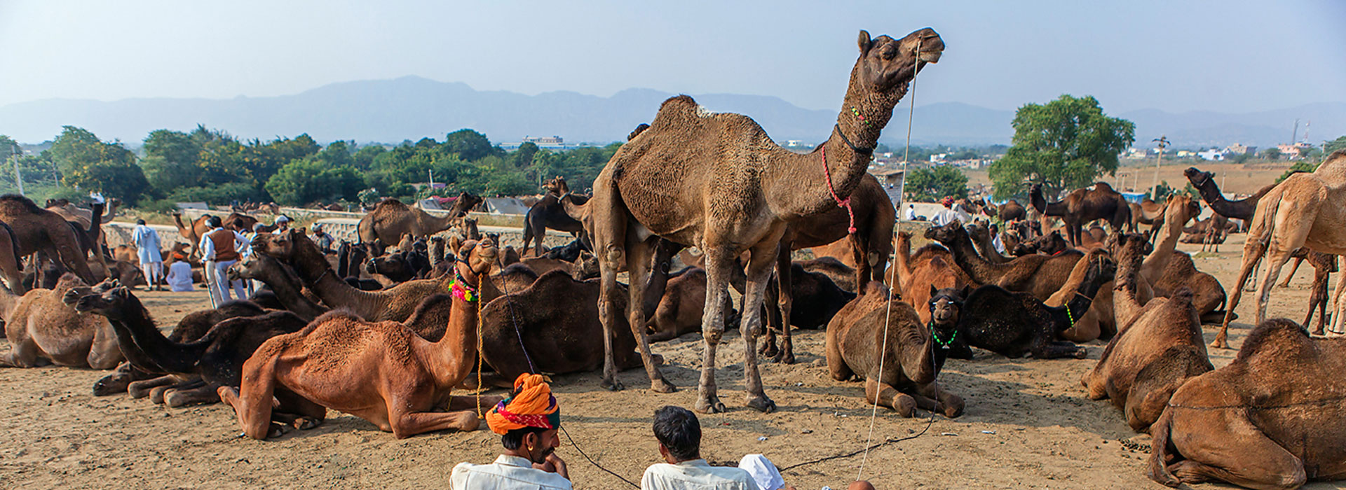 Golden Triangle Tour With Pushkar/Ajmer